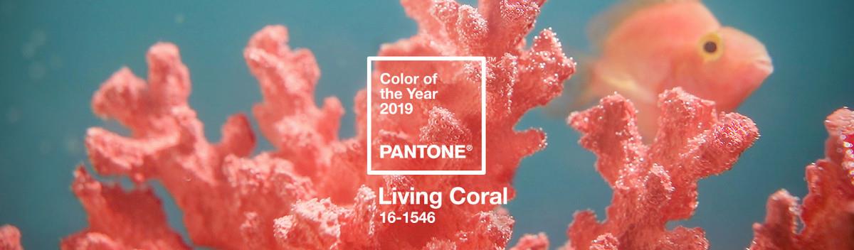 Living Coral : couleur Pantone 2019 pour un extérieur vivant et coloré 