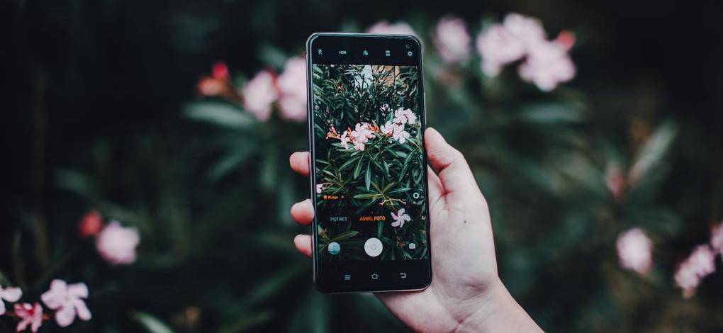 Pollice (verde) up: app per prendersi cura del giardino con il nostro smartphone